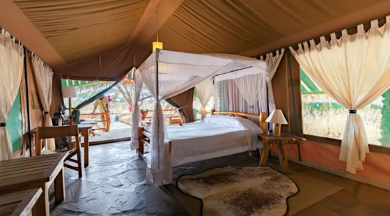 Kibo Safari Camp Accommodation